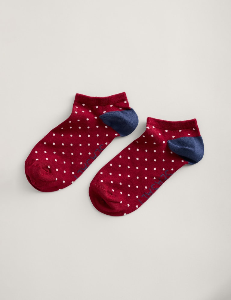 Low sales trainer socks