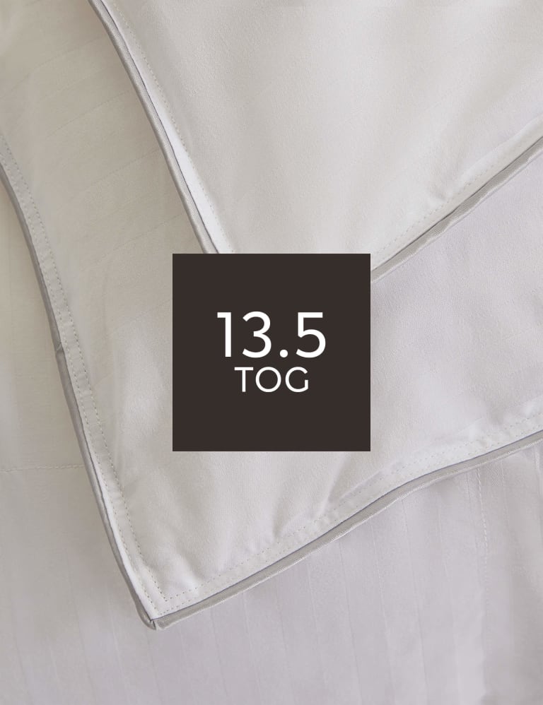 Marks and spencer goose down duvet online