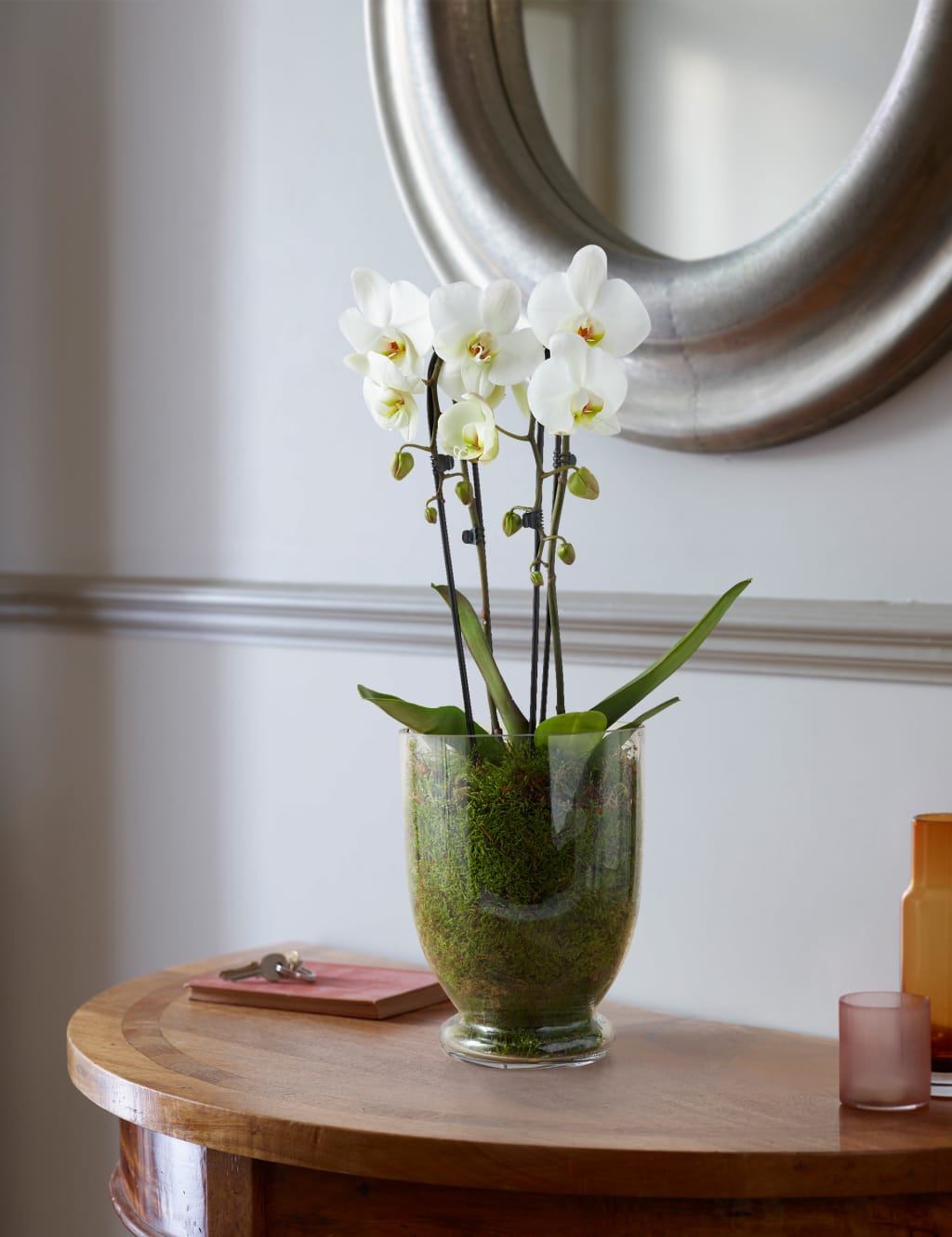 Luxury Orchid Glass M S