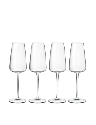 

Luigi Bormioli Set of 4 Talismano Champagne Flutes, No Colour