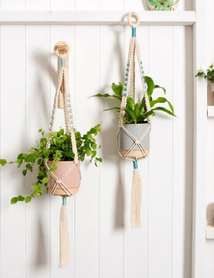 Two Plants Macrame Kit