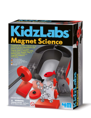 cool magnet science experiments