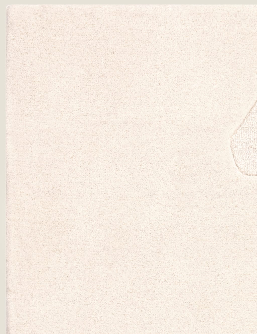 Olsen Rug image 5