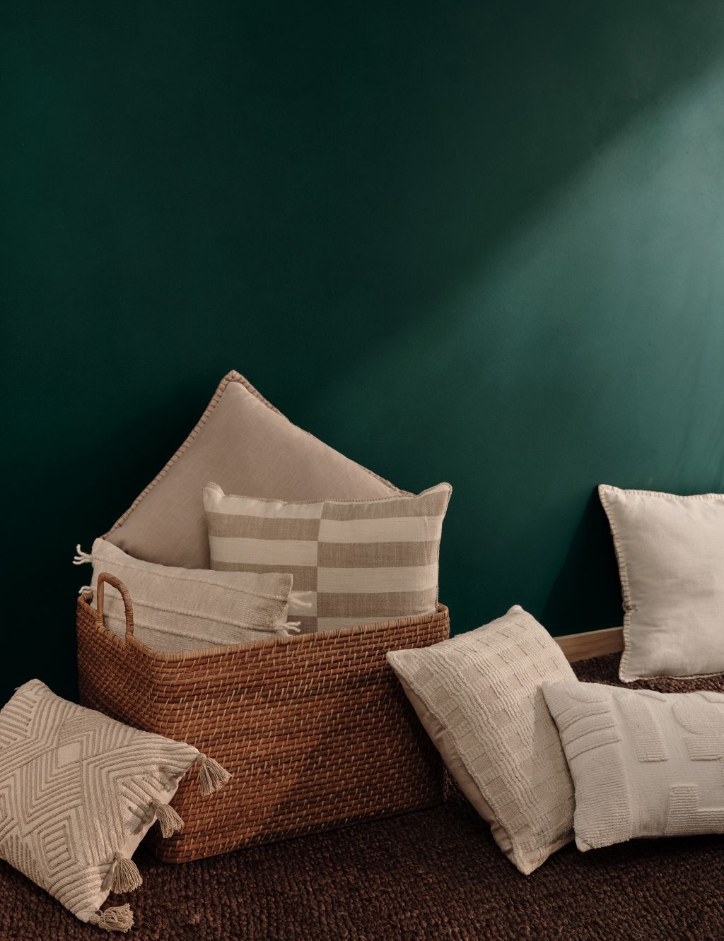 Cotton Rich Striped Tasselled Cushion image 3