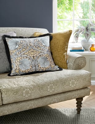 Pimpernel Velvet Cushion