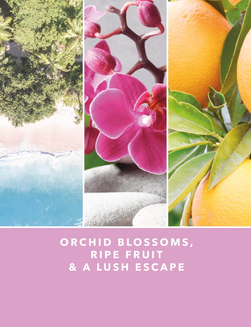 Large Scented Candles M&S