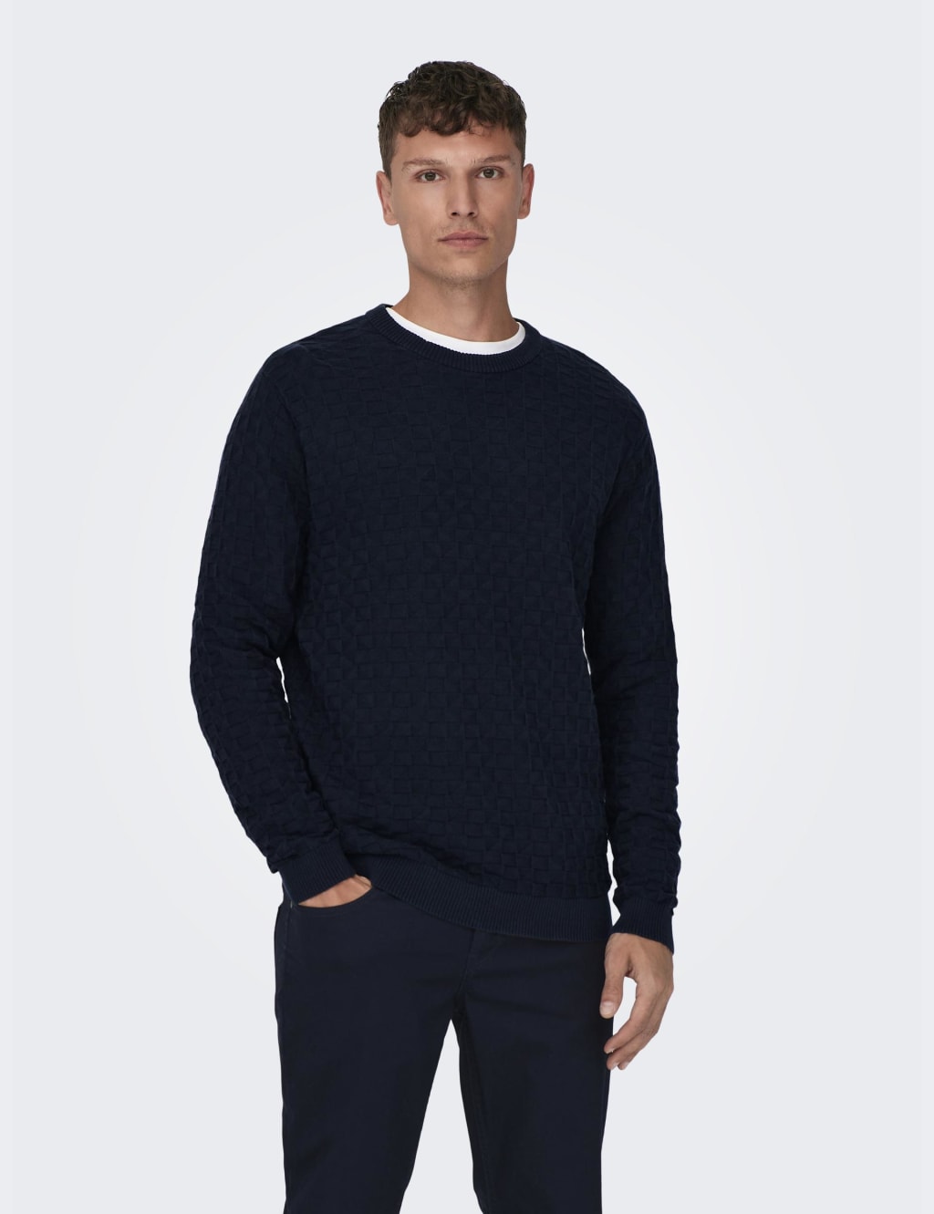 Pure Cotton Textured Crew Neck Jumper