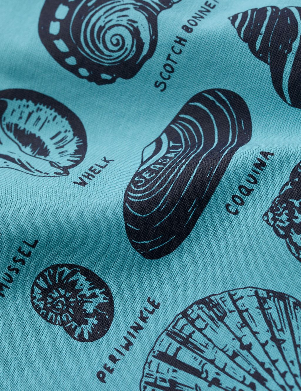 Organic Cotton Shell Graphic T-Shirt image 4