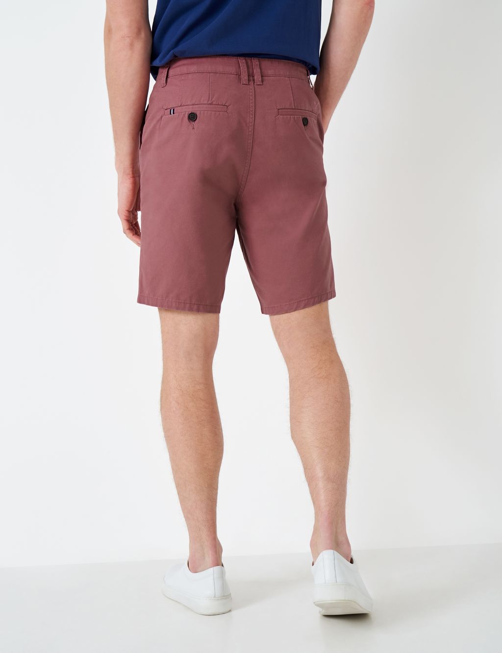 Pure Cotton Chino Shorts image 3