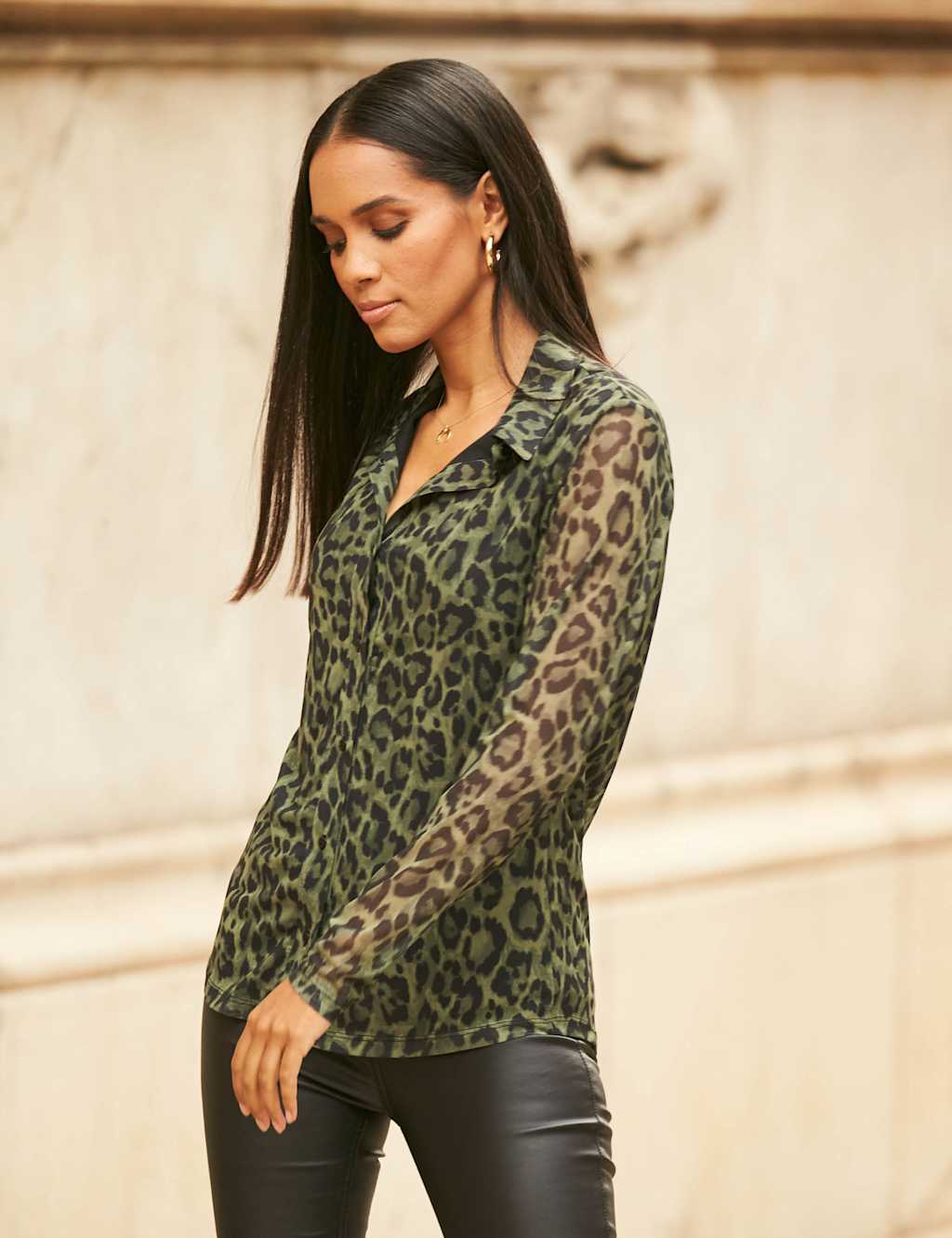 Animal Print Collared Long Sleeve Shirt image 2