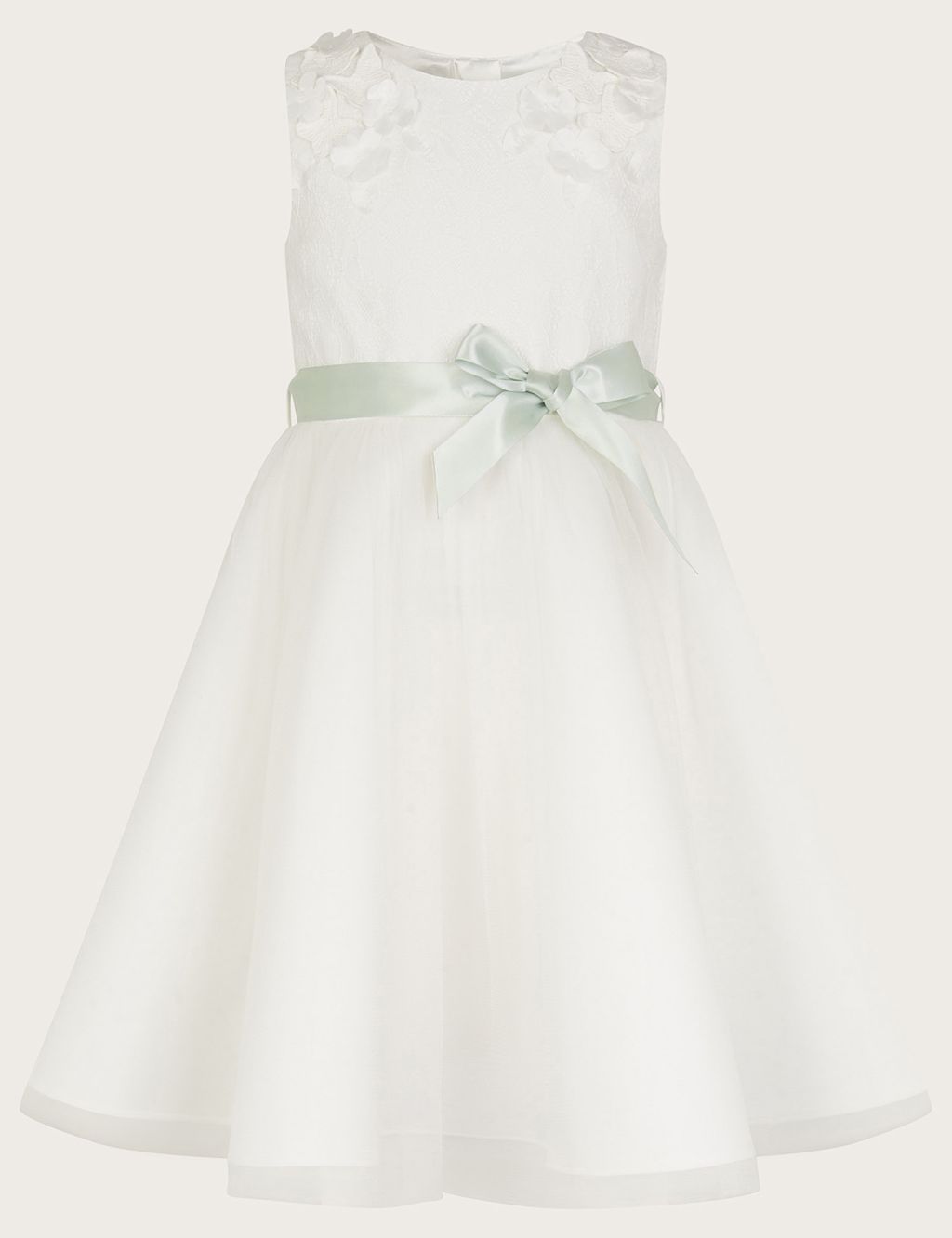 Butterfly Embellished Occasion Dress (3-13 Yrs)