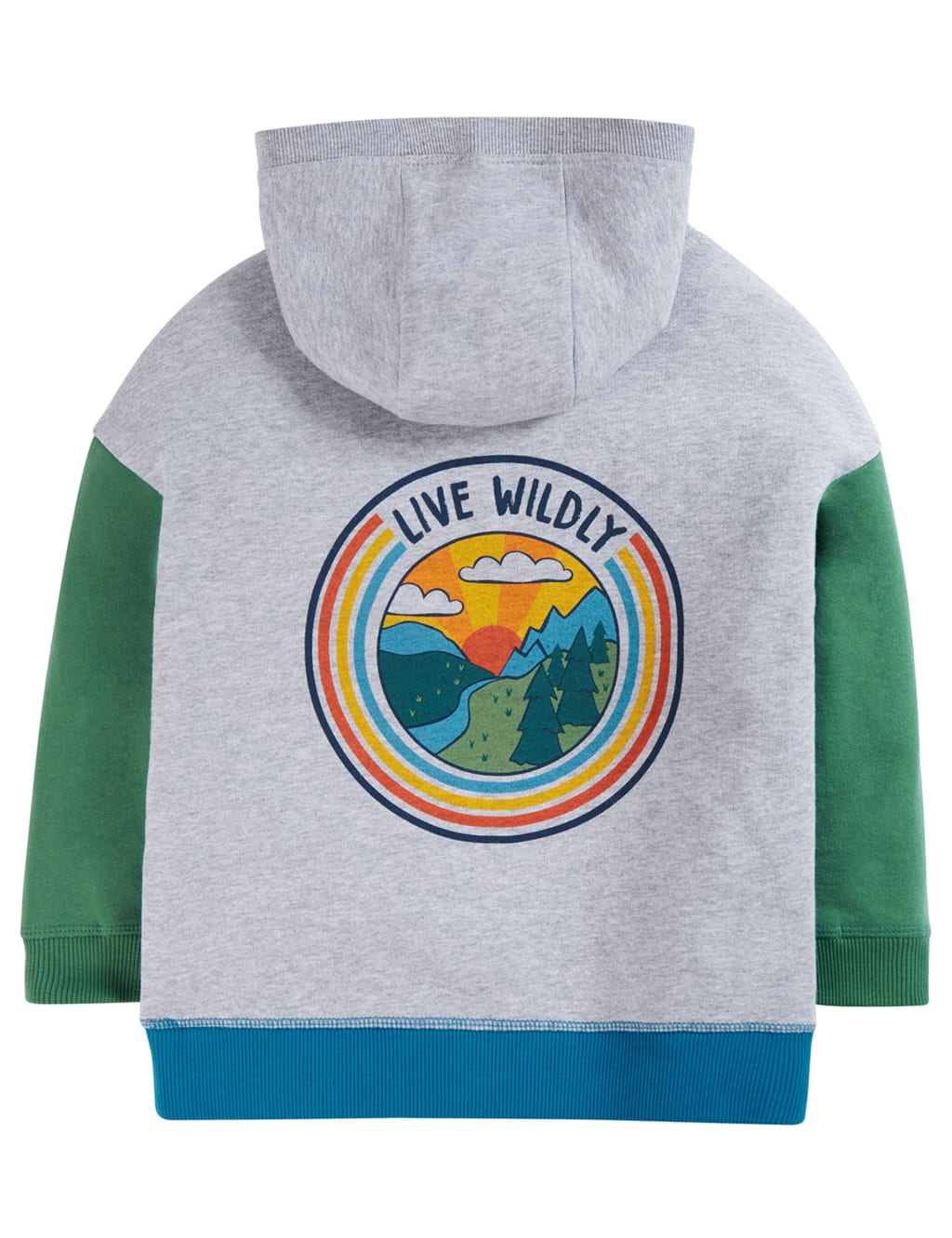 Organic Cotton Graphic Colour Block Hoodie (2-10 Yrs) image 3
