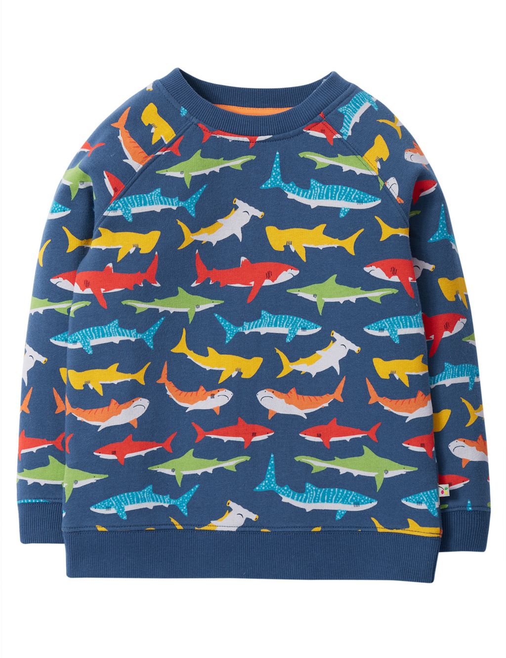 Pure Cotton Shark Sweatshirt (2-10 Yrs)