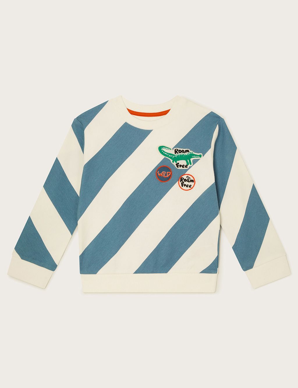 Pure Cotton Striped Sweatshirt (3-13 Yrs)