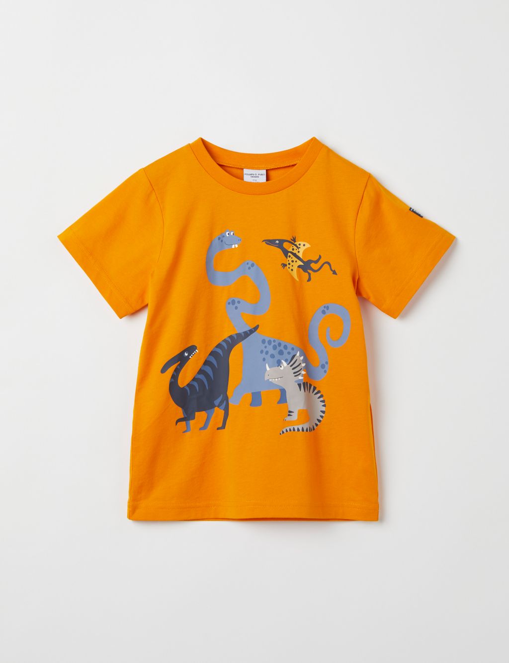 Pure Cotton Dinosaur T-Shirt (1-10 Yrs)
