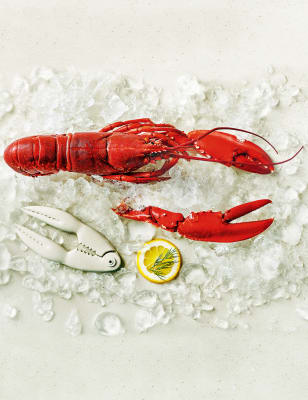 Whole Orkney Lobster (Serves 2) | M&amp;S