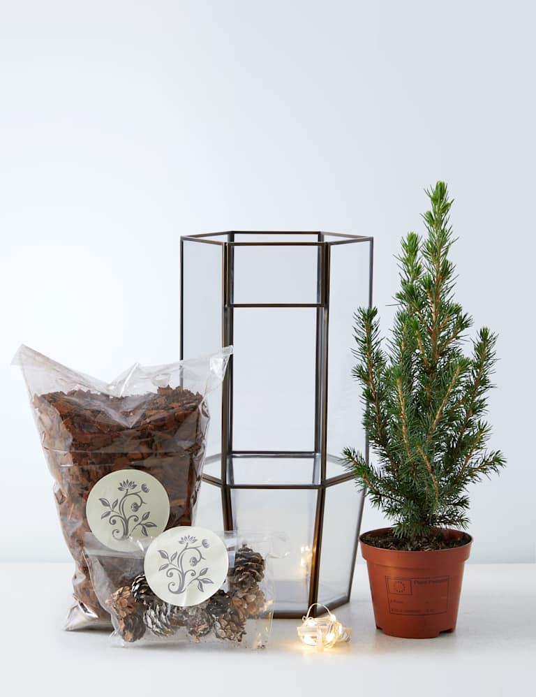 Make Your Own Light Up Tree Terrarium M&S