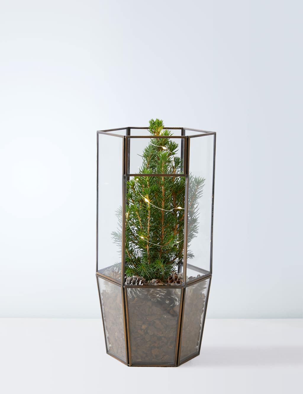 Make Your Own Light Up Tree Terrarium M&S