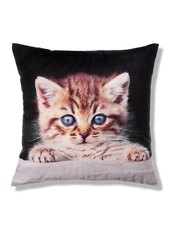 Marmalade Kitten Cushion Image 1 of 1