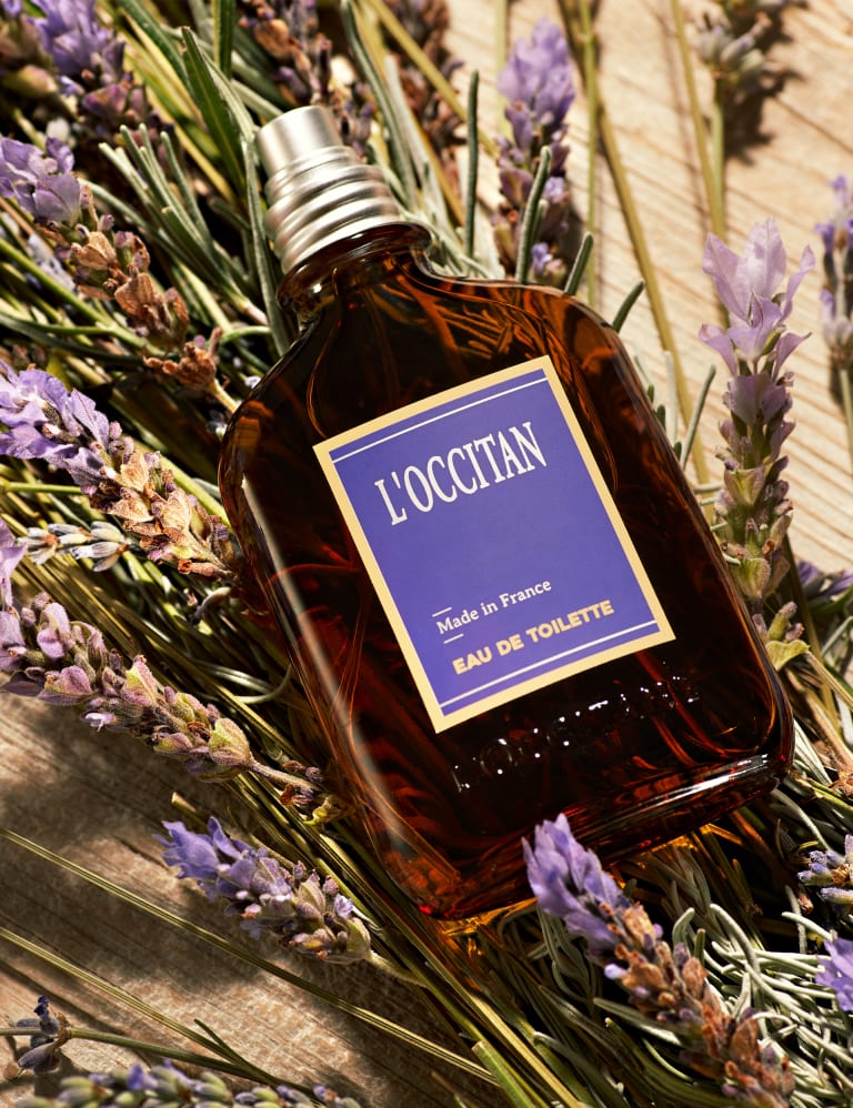 Loccitane eau de toilette sale