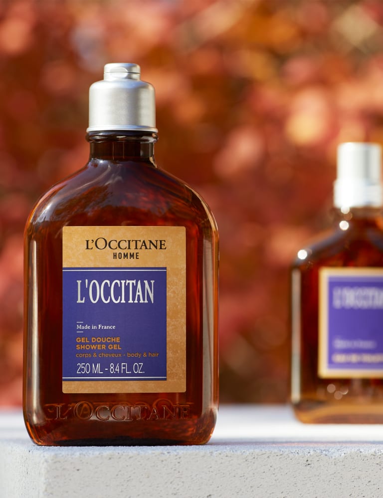 Mens Eau de Toilette 75ml L Occitane M S