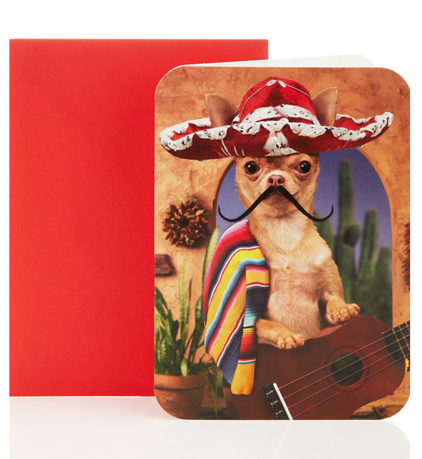 Mexican Dog Blank Greetings Card Image 1 of 1