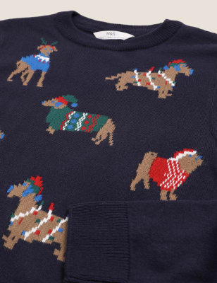 M&s dog hot sale christmas jumper