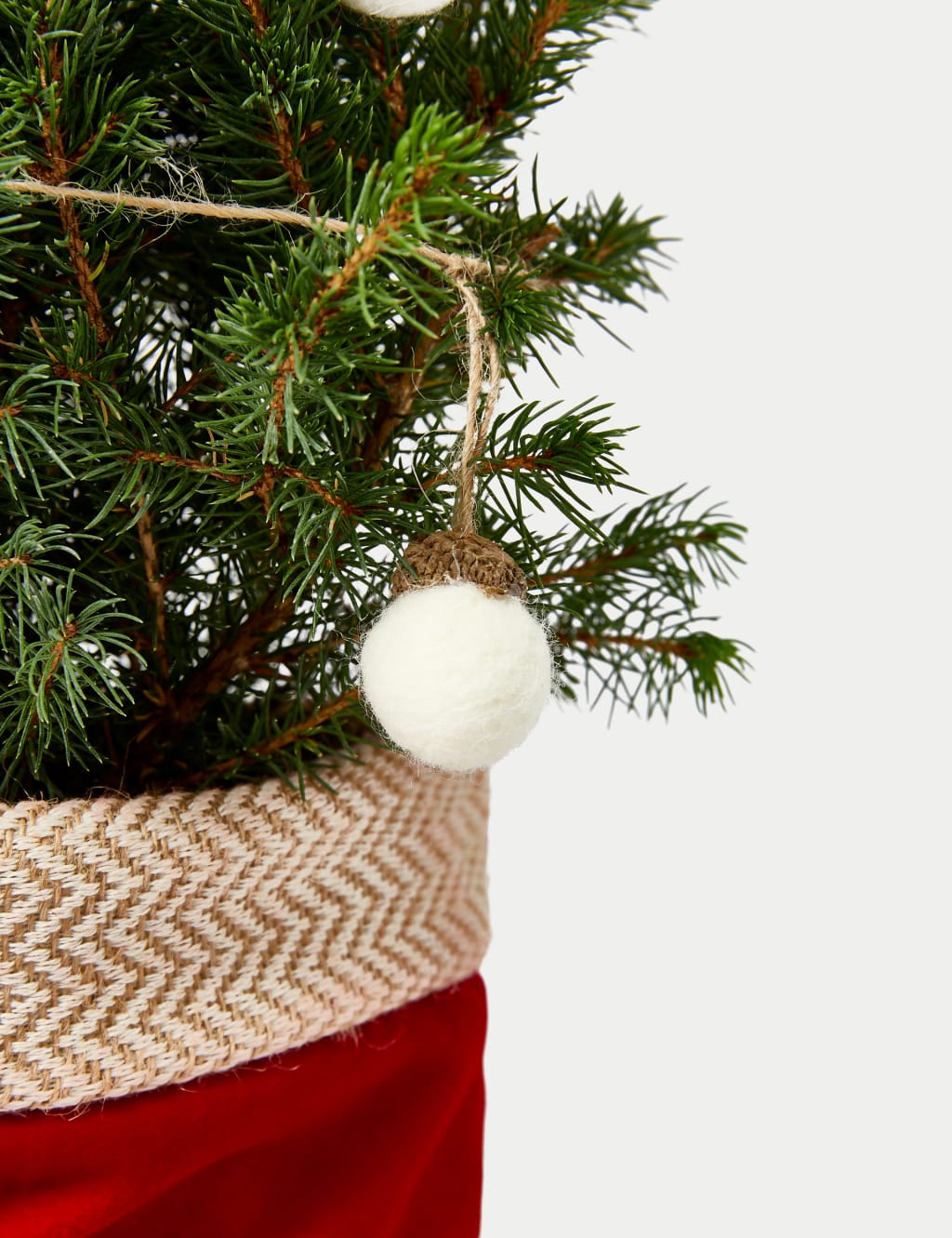 Mini Real Christmas Tree in Velvet Pot M&S