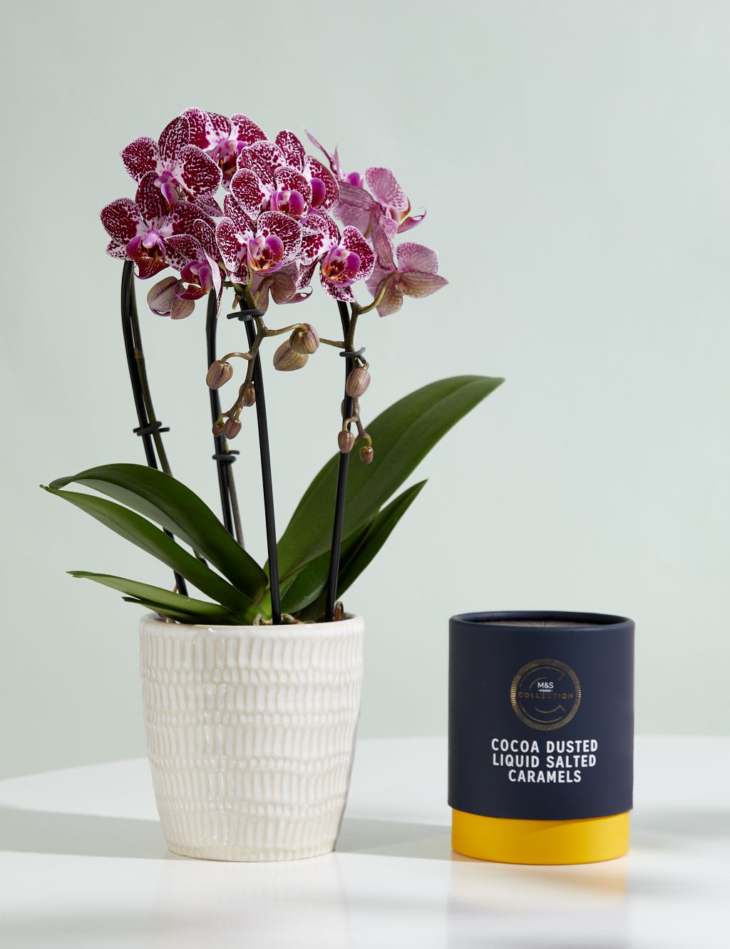 Miniature Purple Cascade Orchid Ceramic & Swiss Truffles Bundle 3 of 5