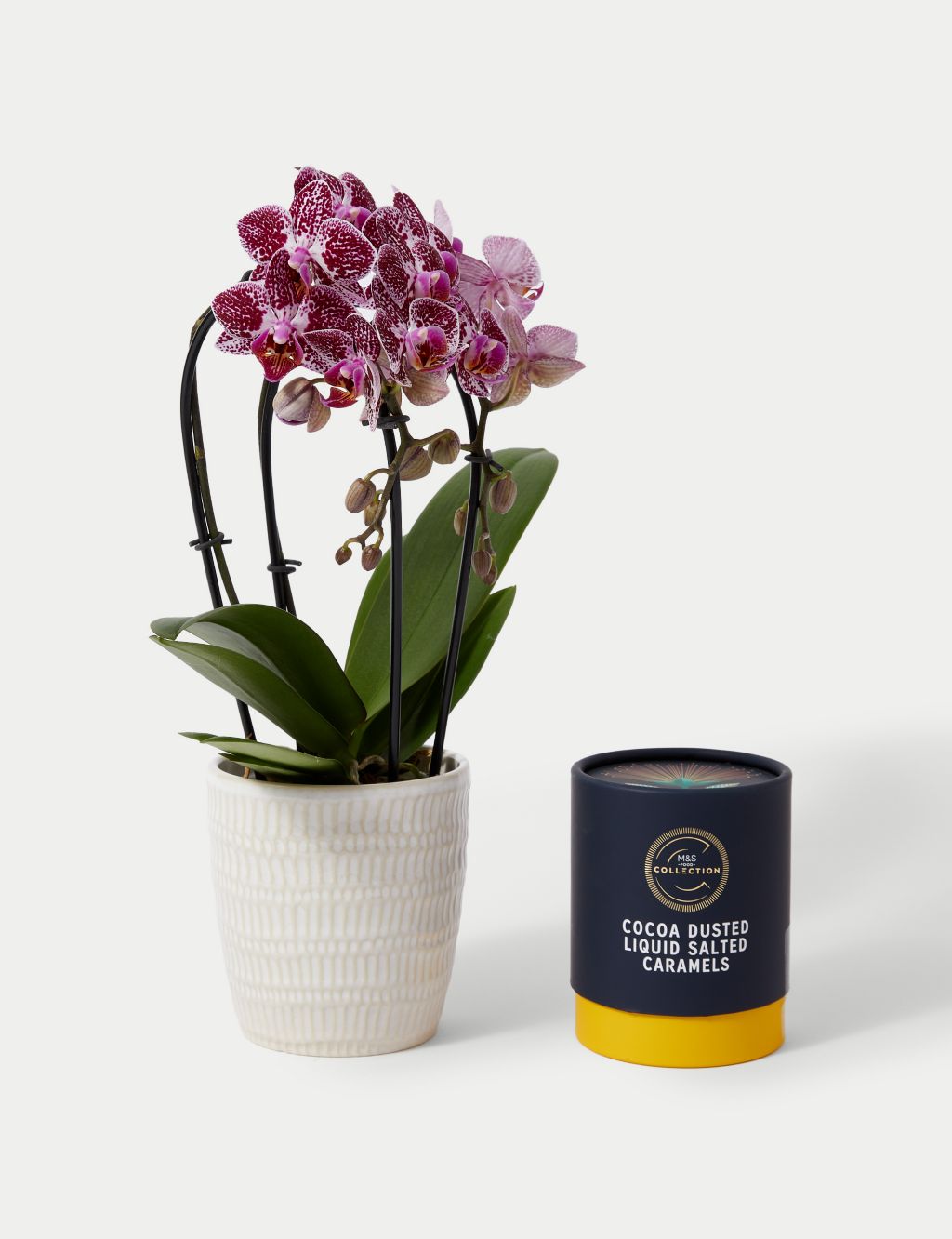 Miniature Purple Cascade Orchid Ceramic & Swiss Truffles Bundle 1 of 5