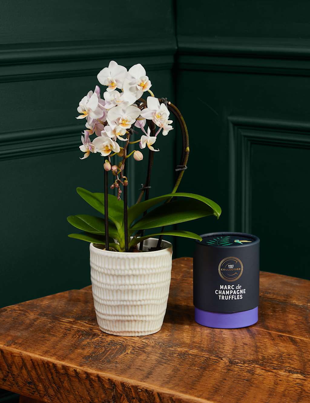 Miniature White Cascade Orchid Ceramic & Cocoa Dusted Liquid Salted