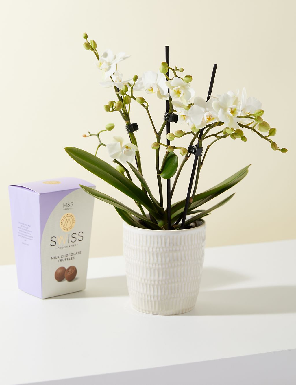 Miniature White Phalaenopsis Orchid Ceramic & Swiss Truffles Bundle 3 of 5