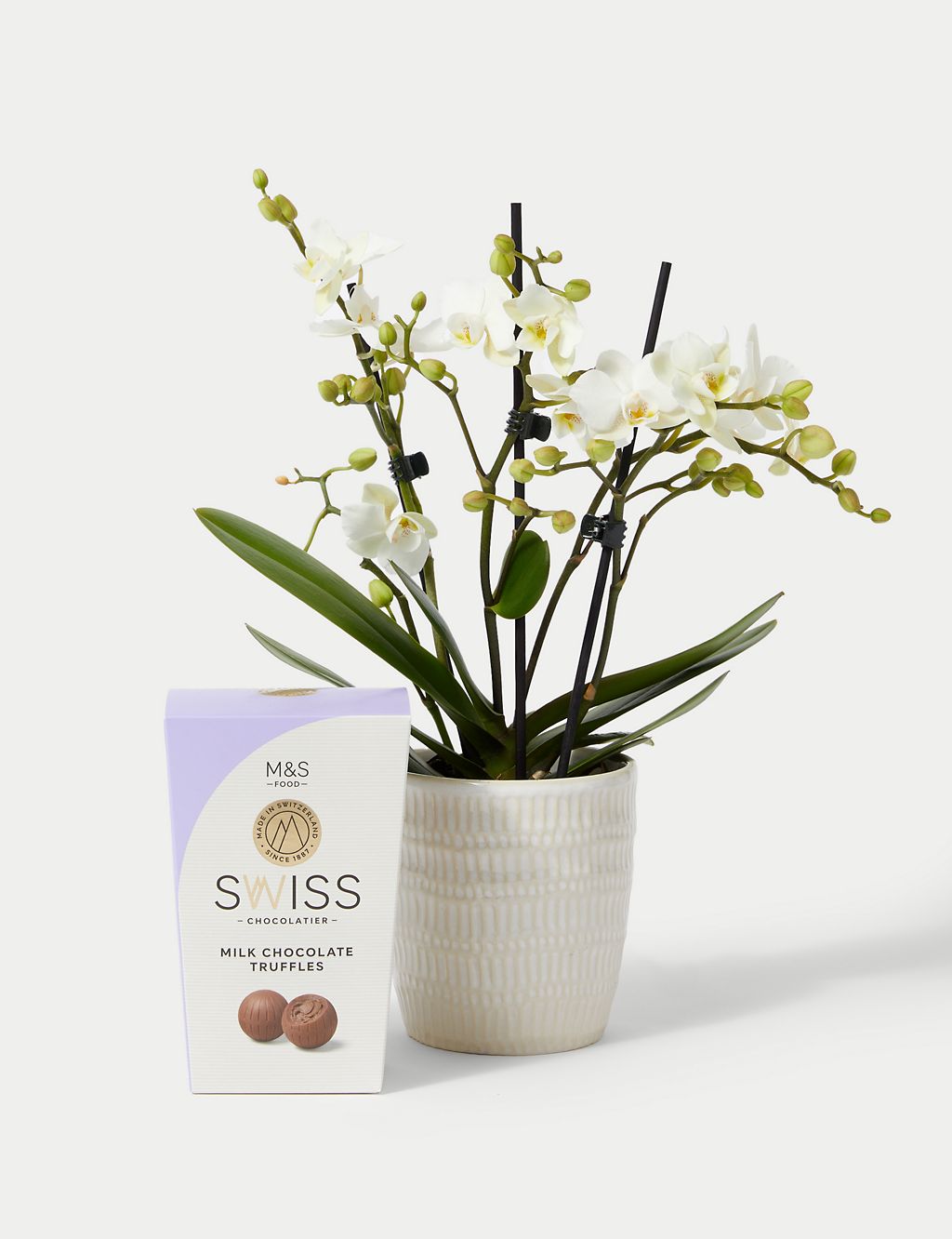 Miniature White Phalaenopsis Orchid Ceramic & Swiss Truffles Bundle 1 of 5