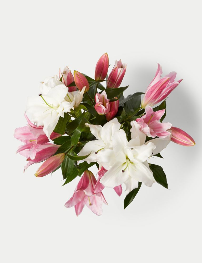 Stunning Pink and White Mother's Day Lilies at From You Flowers