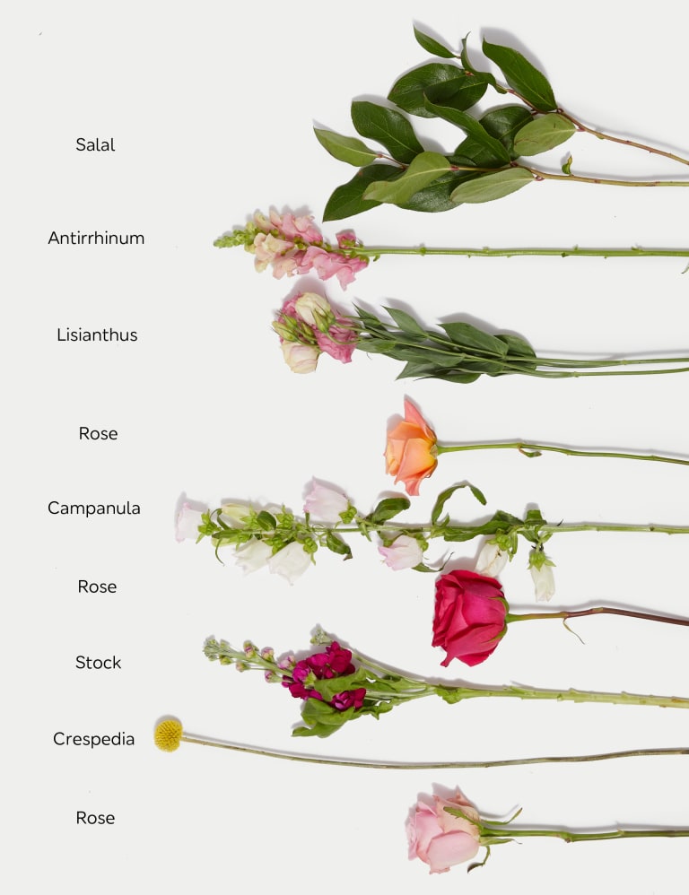 Marks and spencer mothers day 2025 flowers delivery