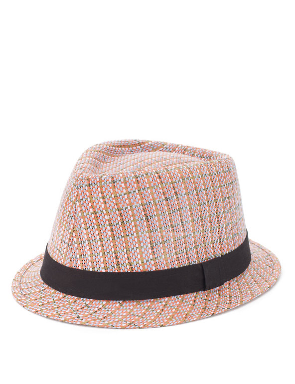 Multi Tonal Trilby Hat Image 1 of 1