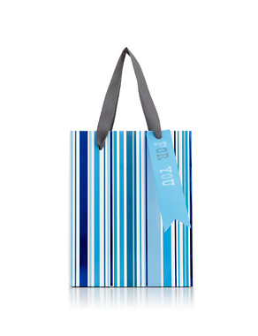 Multiple Blue Striped Small Bag Image 2 of 3