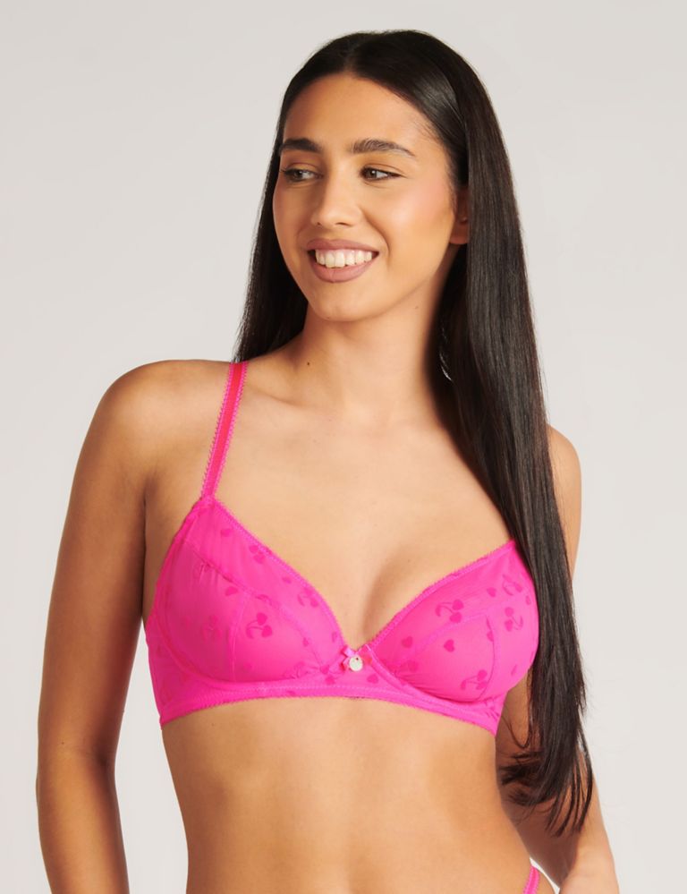 Nadia Embroidery Wired Plunge Bra (A – E) 1 of 4