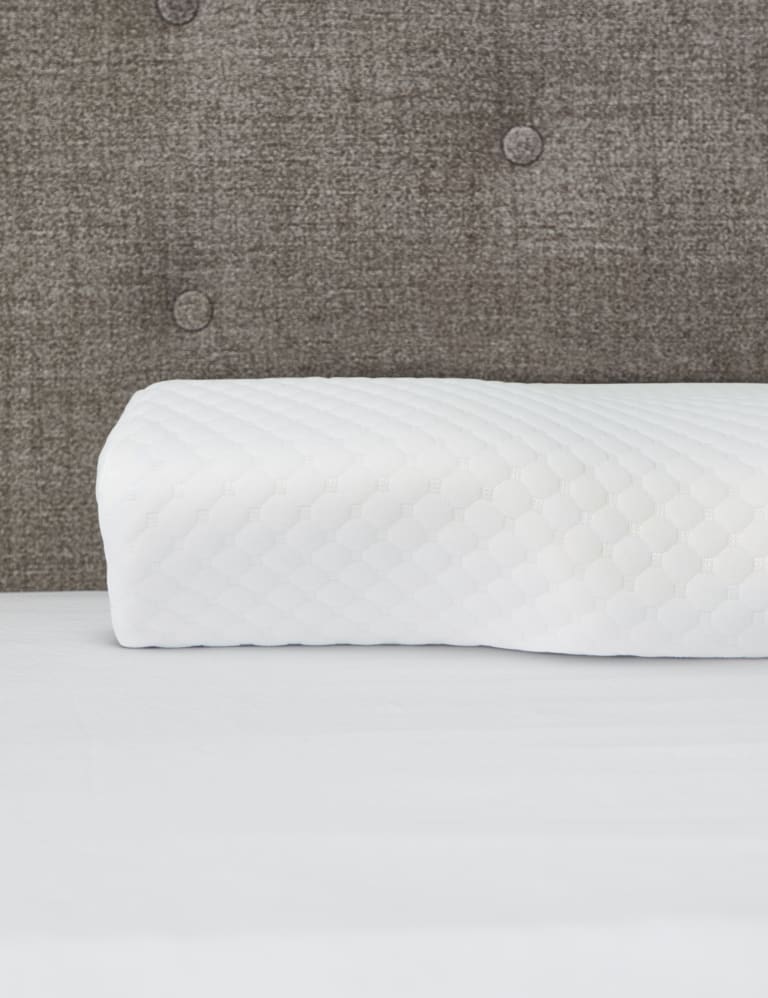 Beautyrest extra firm latex foam pillow deals