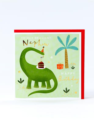 Dinosaur Nephew Birthday Card To My Special Nephew Have A 