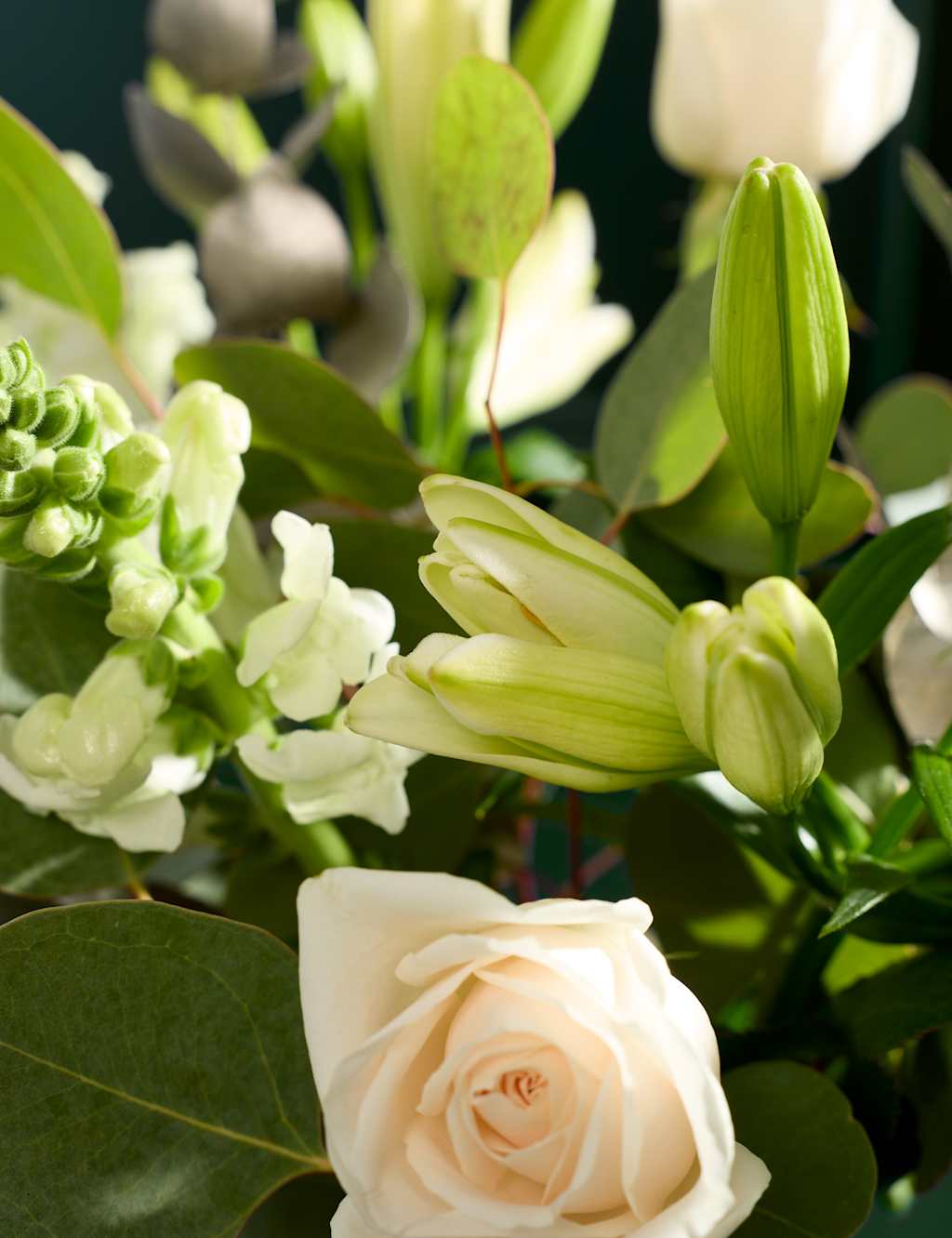 New Year Rose Bouquet (Delivery from 2nd February 2023) | M&S