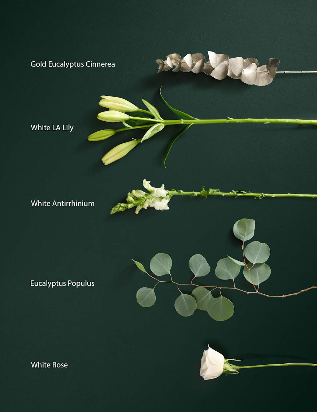 New Year Rose Bouquet (Delivery from 2nd February 2023) | M&S