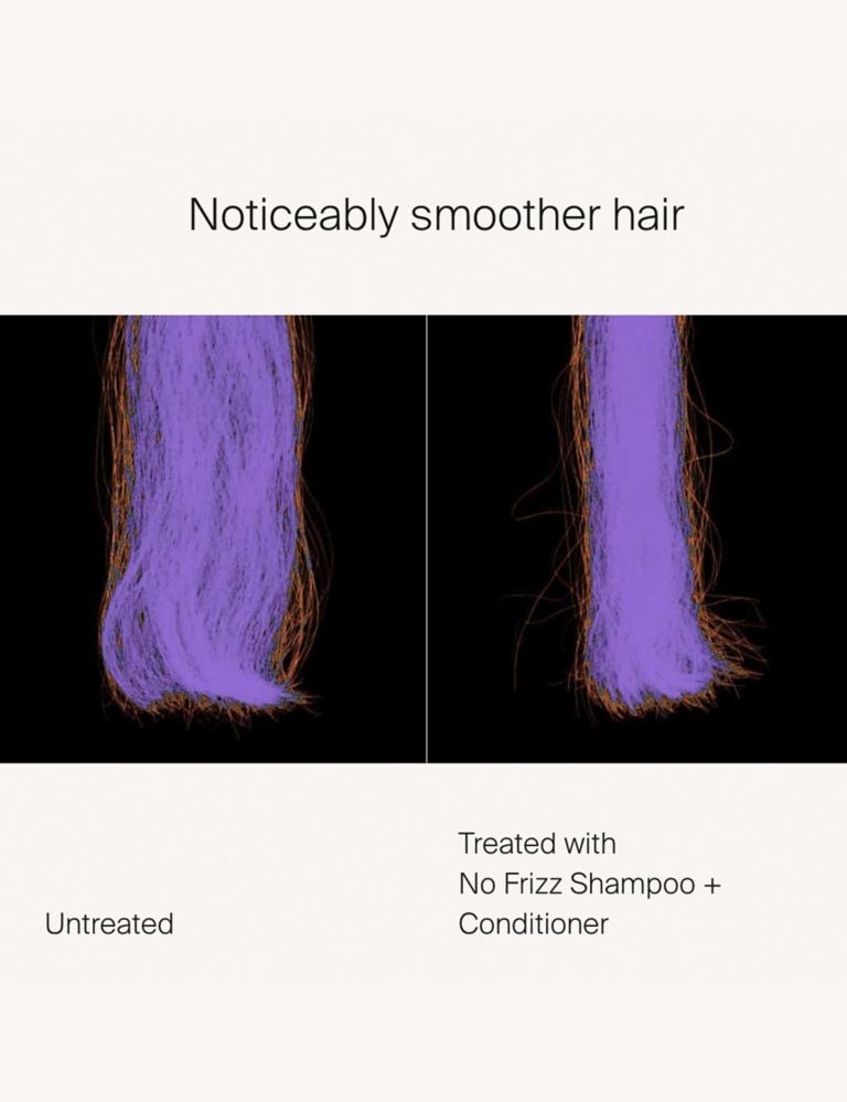 No Frizz Shampoo 236ml 4 of 10