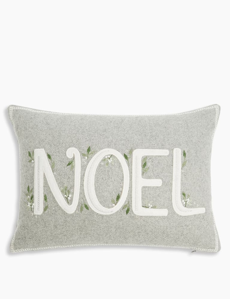 Noel Cushion M S