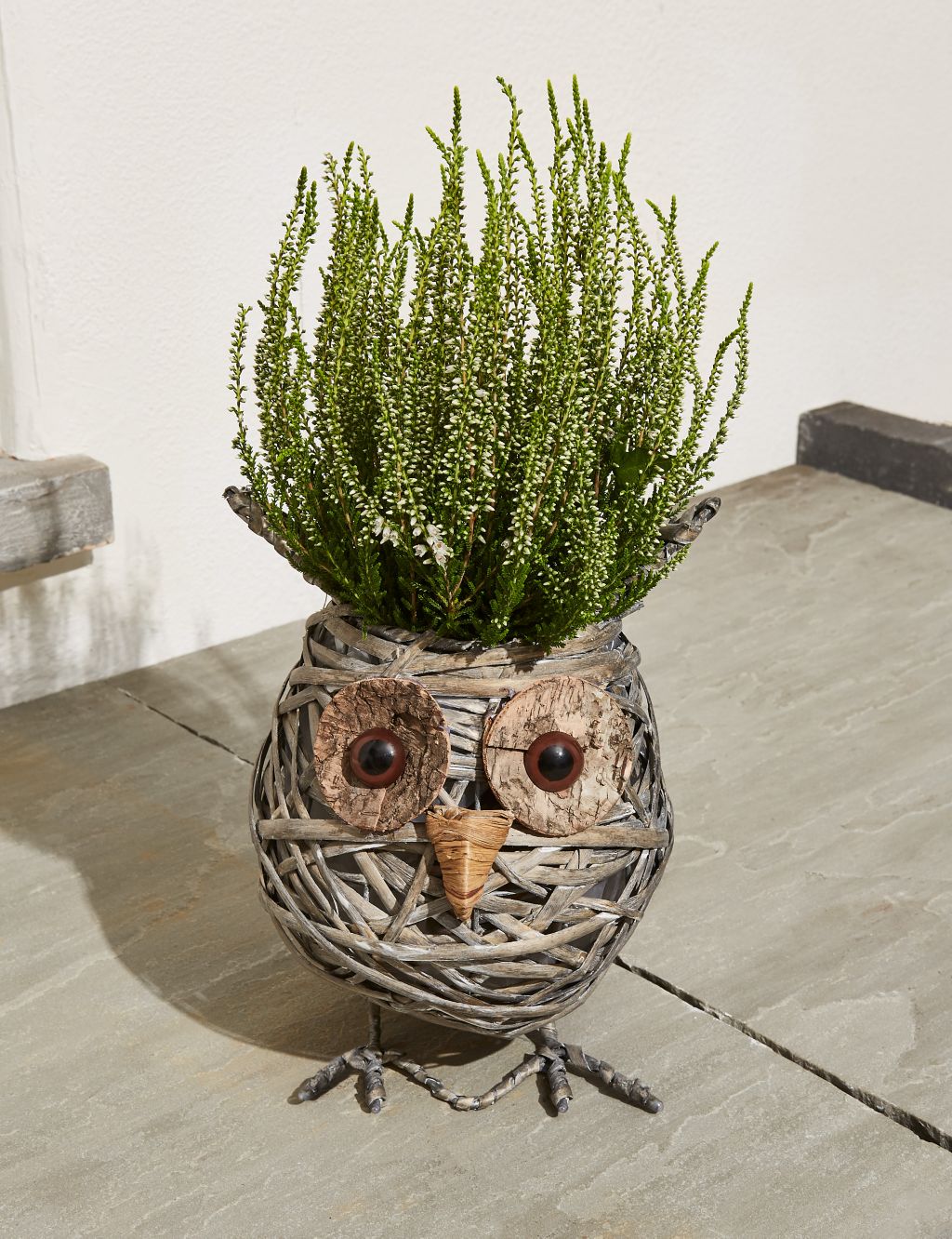 Novelty Owl Calluna Planter (Last Delivery Date 30th November) 3 of 5