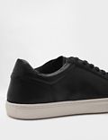 Pure Leather Plain Lace-up Sneakers