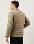 Zip Up Solid Puffed Jacket