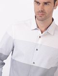 Pure Cotton Stripes Spread Collar Shirts
