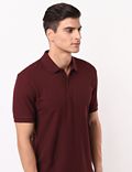 Solid Polo Tee