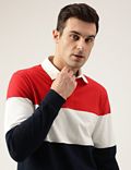 Regular Fit Pure Cotton Colorblocked Polo Collar Tshirt